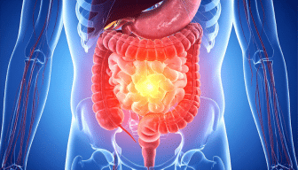gut health doctor utah