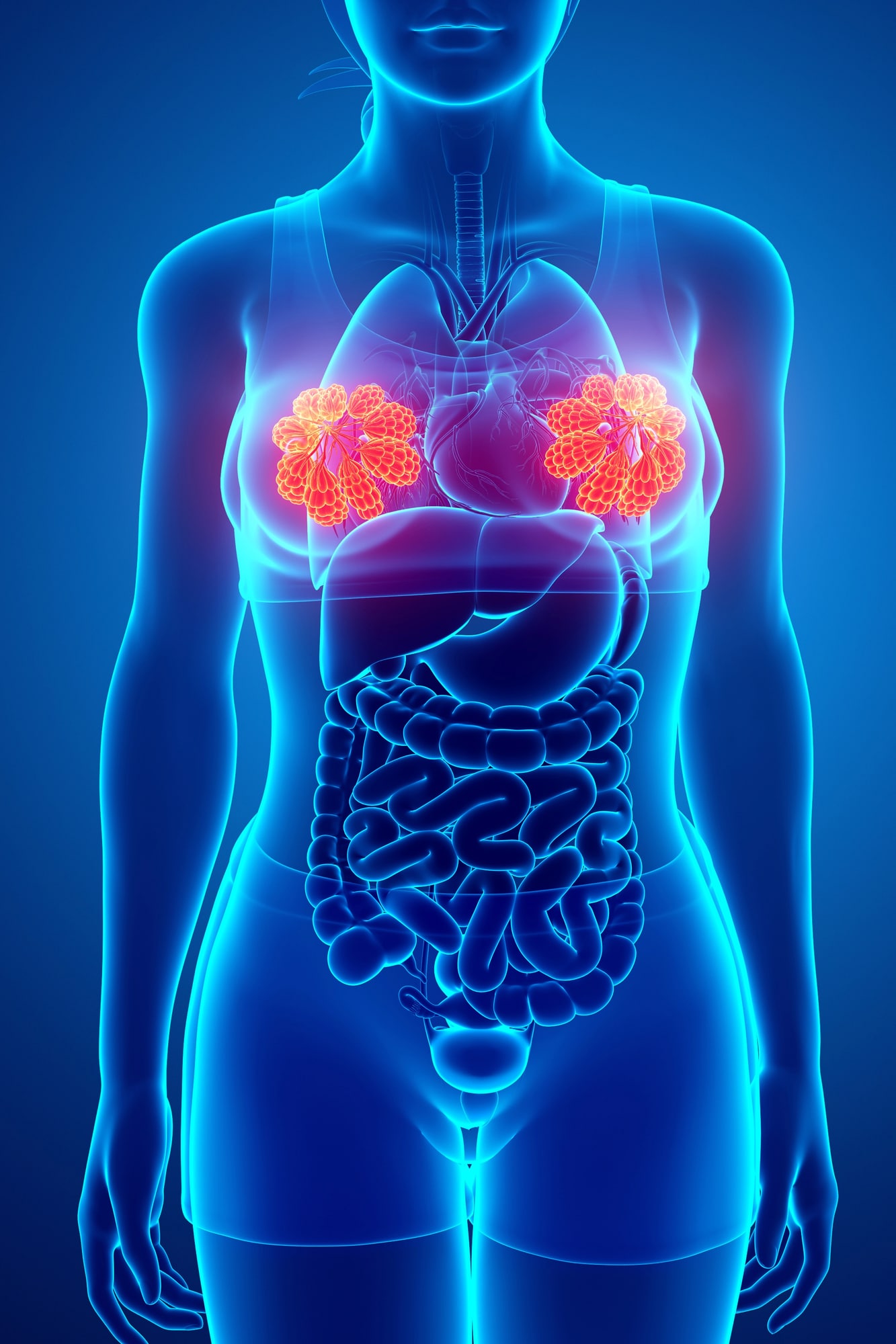 breast cancer prevention